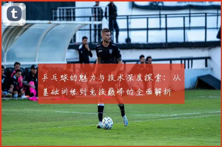 乒乓球的魅力与技术深度探索：从基础训练到竞技巅峰的全面解析
