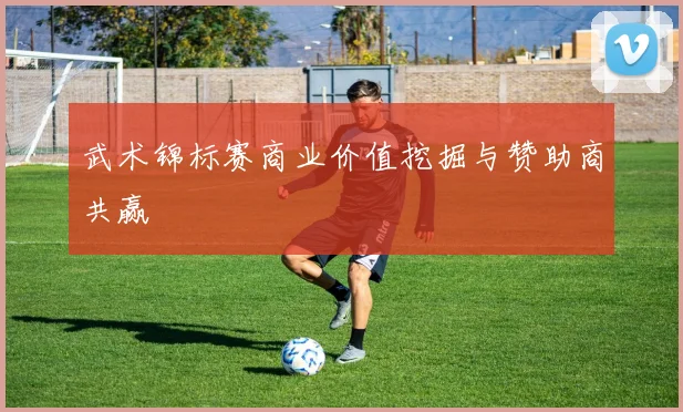 武术锦标赛商业价值挖掘与赞助商共赢