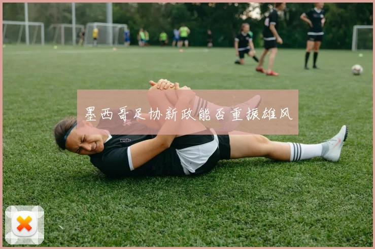 墨西哥足协新政能否重振雄风